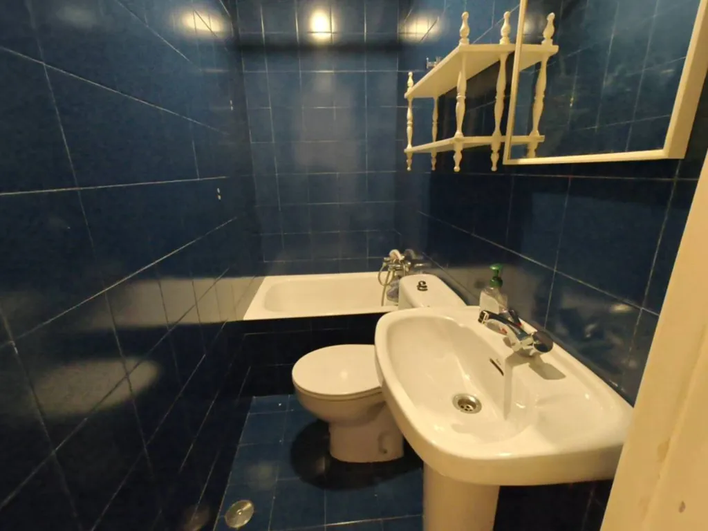 Bathrooms - Reformable Flat with Guggenheim Views in Abando