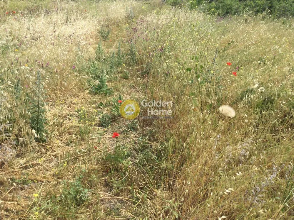 Giardino - Agricultural Plot with Unobstructed View in Thermiakos