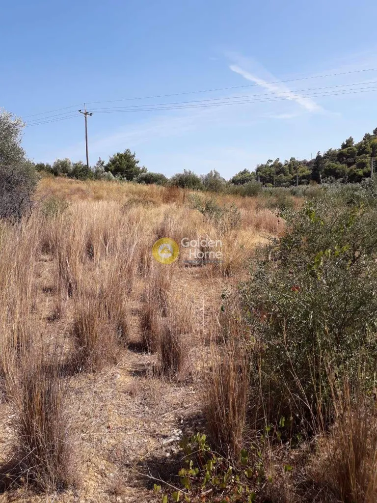 Aed - Agricultural Plot with View in Spata