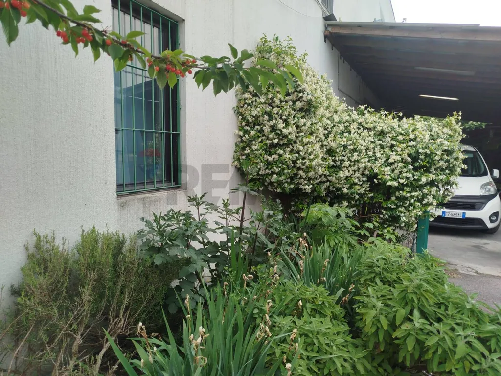 Aed - Warehouse with Apartment in Industrial Zone