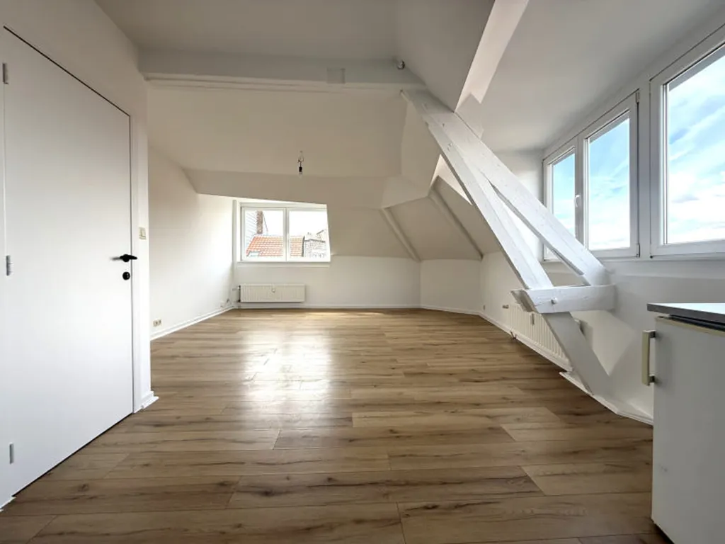 Toad - Fully Renovated Studio in Uccle