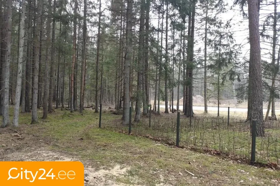 Jardin - Land Plot for Private House in Grobiņa
