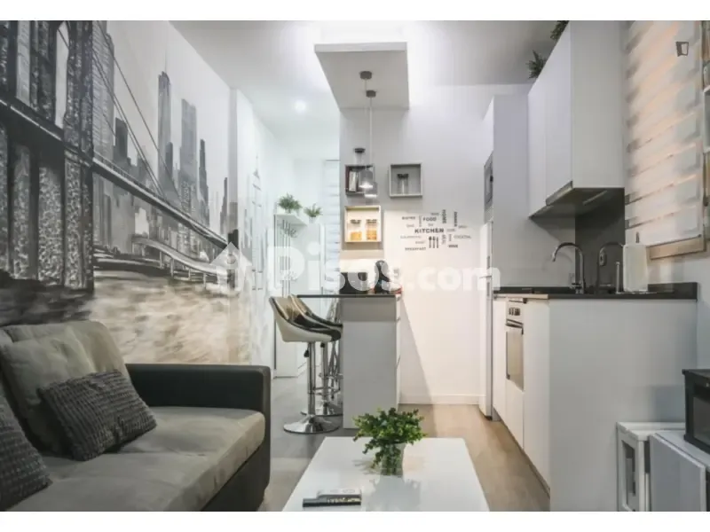 Elutuba - 1-Bedroom Apartment in Madrid Centre
