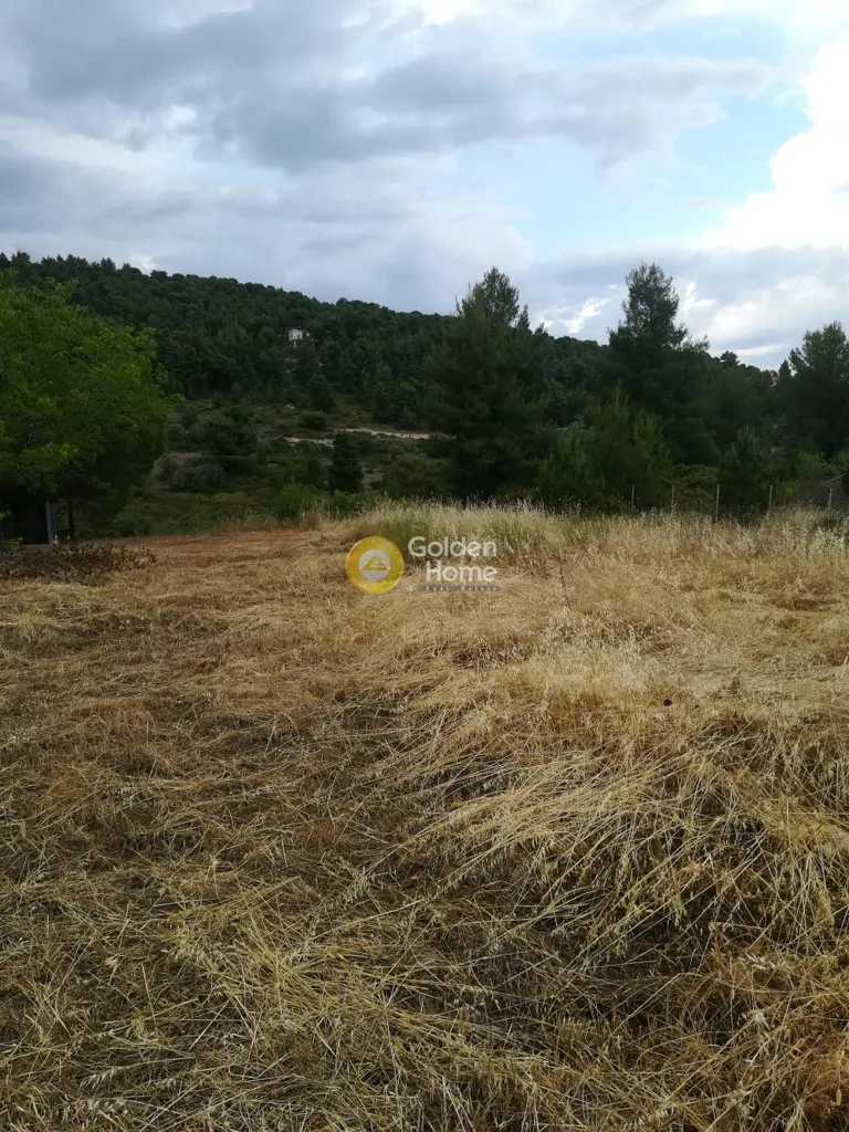 Aed - Buildable Plot with Sea View in Theologos