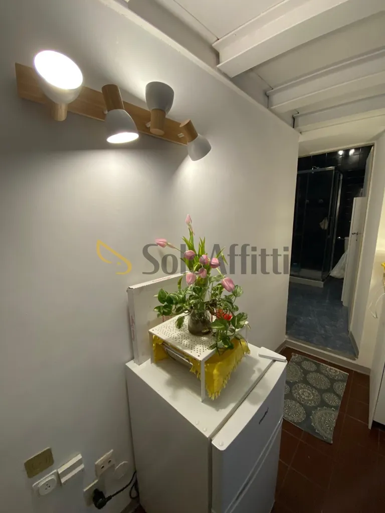 Lavanderia - Modernised Studio in Central Bologna