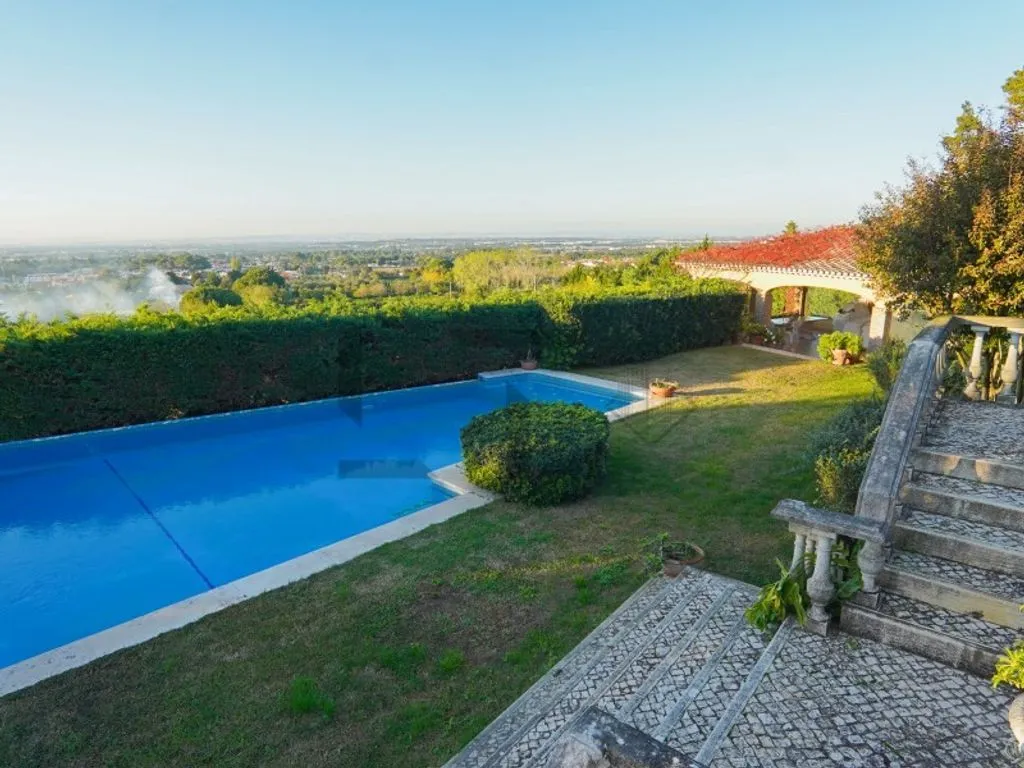 Piscine - Farm with Pool and Vineyard in Azeitao