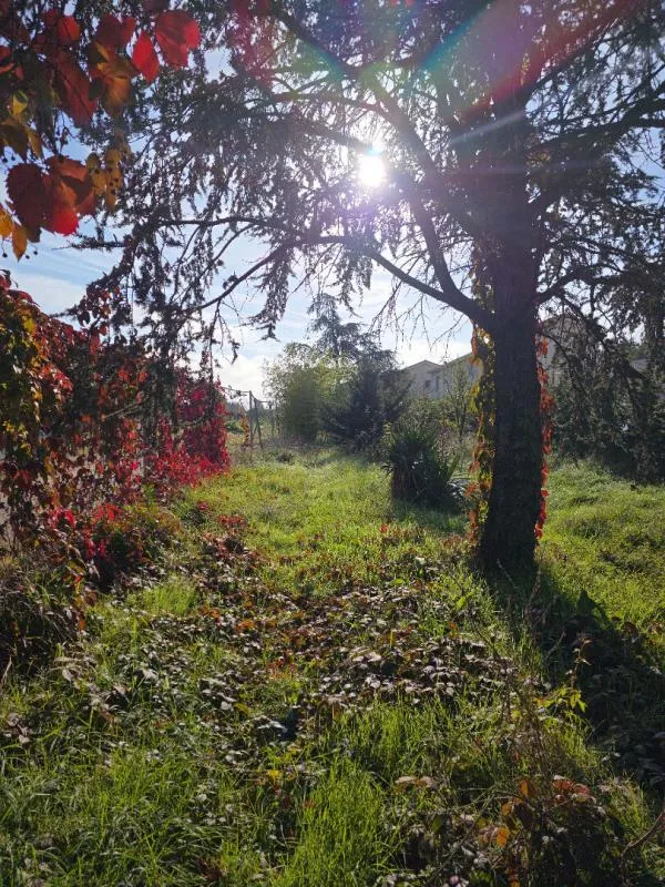 Jardin - Maison avec Terrain Constructible à Chassieu