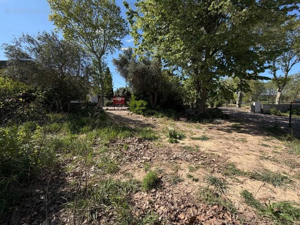 Aed - Buildable Plot with Garden near Montpellier