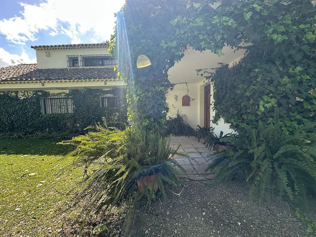 garden