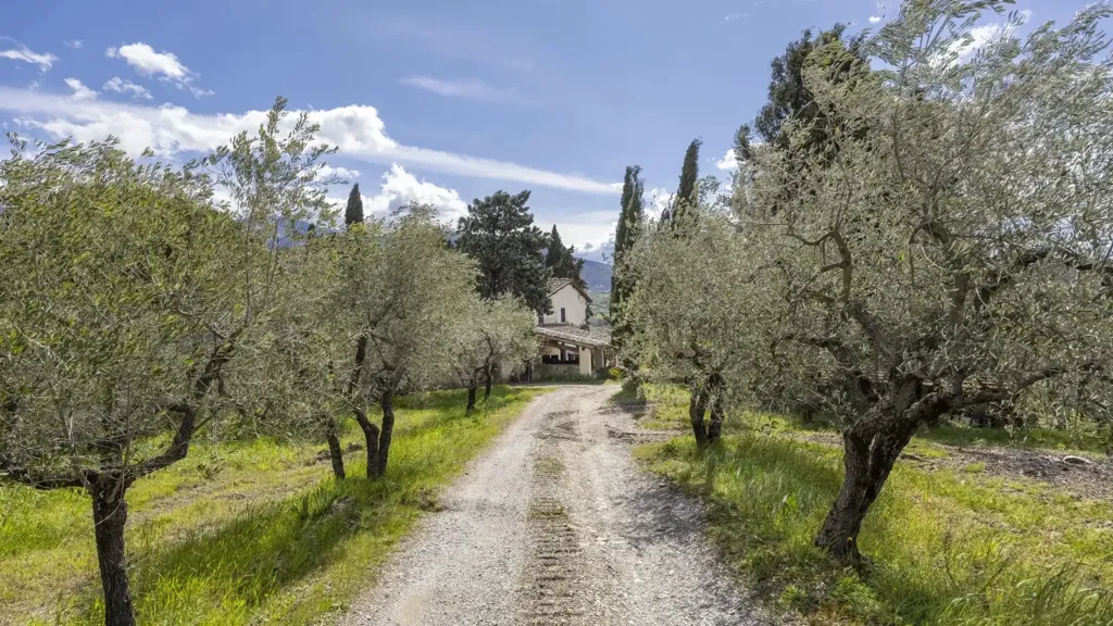 Extérieur - Tuscan Cascina with Olive Grove in Pelago