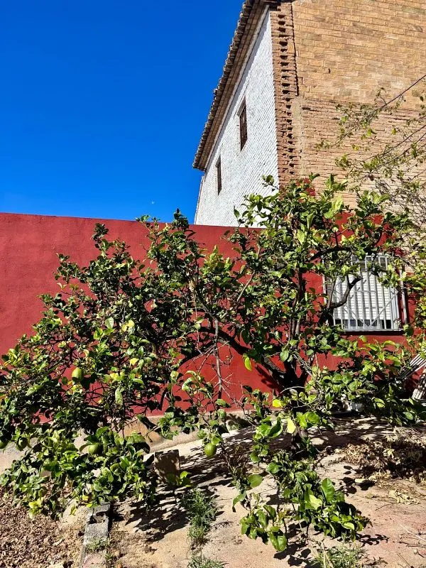 Exterior - Historic House with Terrace in Plena Huerta