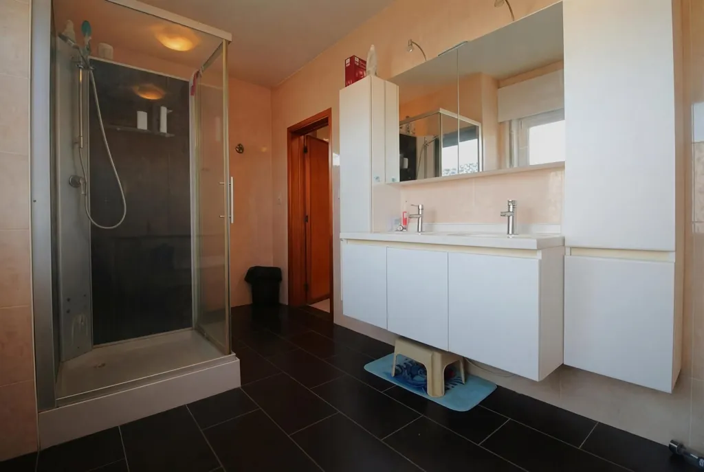 Salles de bain - Maison avec Jardin et Garage à Londerzeel