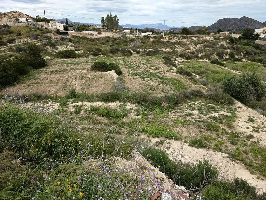 Jardin - Cave House with Potential in La Alcoraya