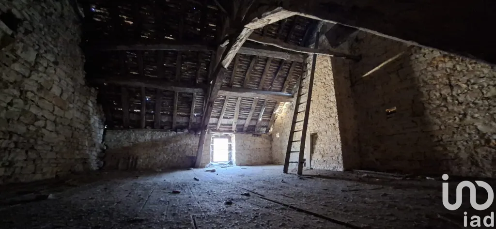 Stanze - Restoration Barn with Garden in Essoyes