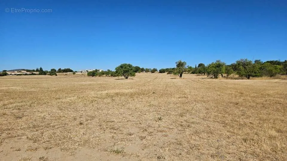 Jardin - Terrain à Bâtir avec Jardin à Pertuis