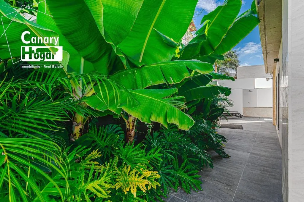 Terrasse - Luxury Villa with Ocean Views in Adeje