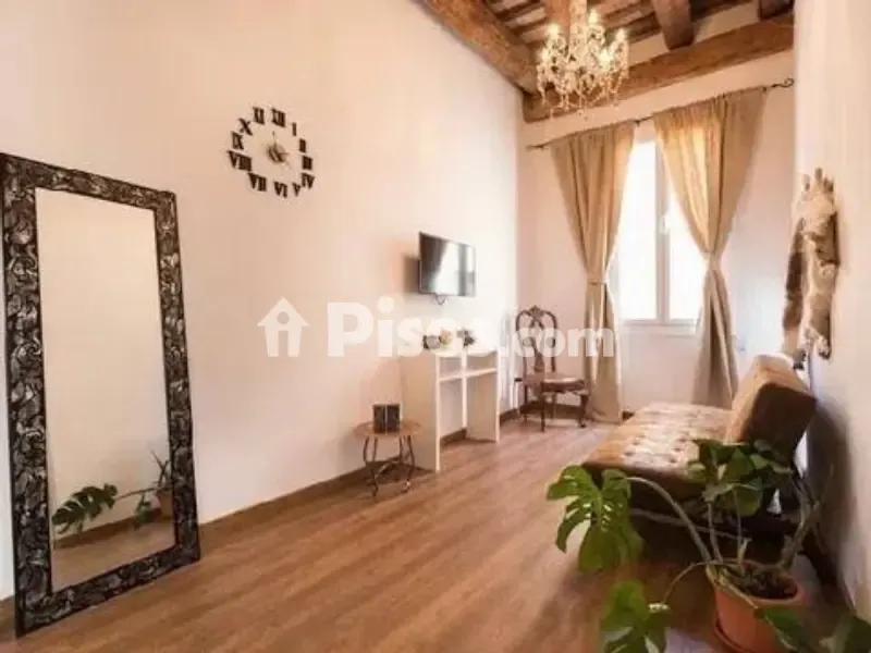 Séjour - Reformed Flat with Street View in El Barri Gòtic