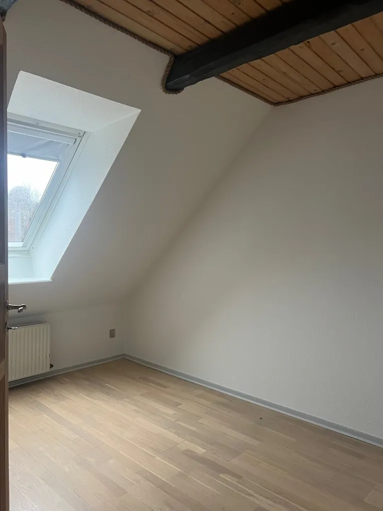 Toad - Two-Bedroom Flat in Skive