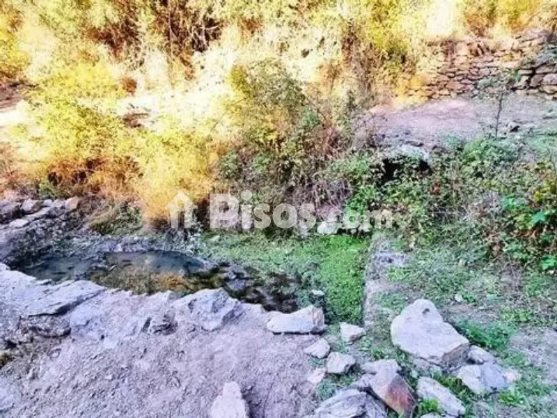 Aed - Rustic House with Olive Grove in La Nava