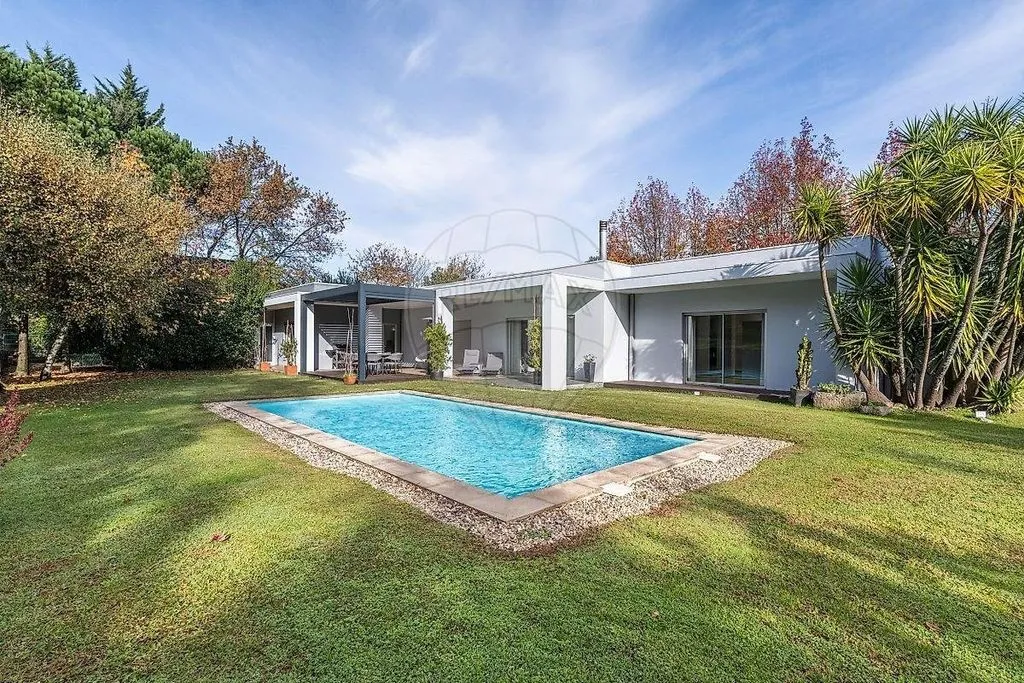 Bassein - Luxury Detached House with Pool in Vizela