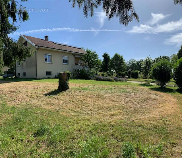 Aed - Charming House with Garden on Heights