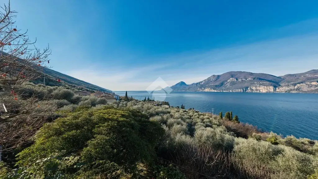 Luxury Villa with Lake View in Brenzone