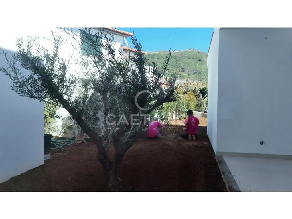 Jardin - Contemporary Villa with Ocean View in Calheta, Madeira