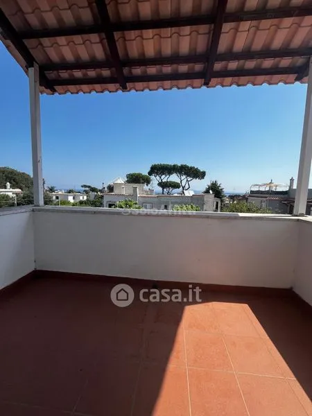 Terrass - Villa with Pool in Ischia Porto