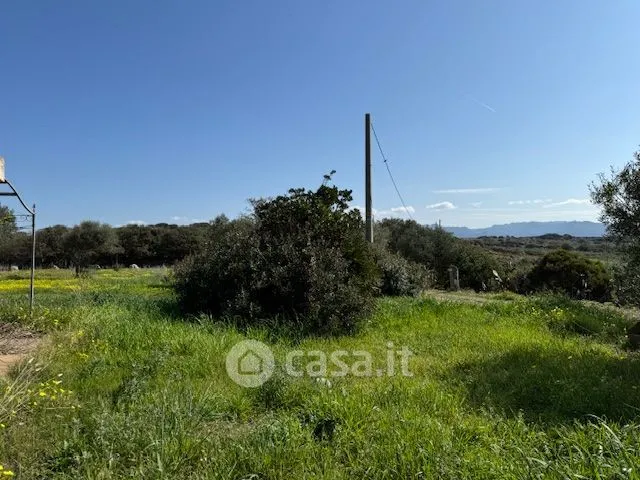 Jardin - Agritourism Property with Pool in Tresnuraghes