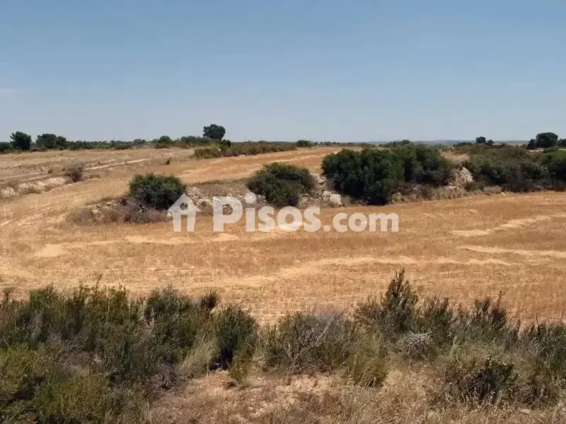 Aed - Rustic Hunting Estate in Alcañiz