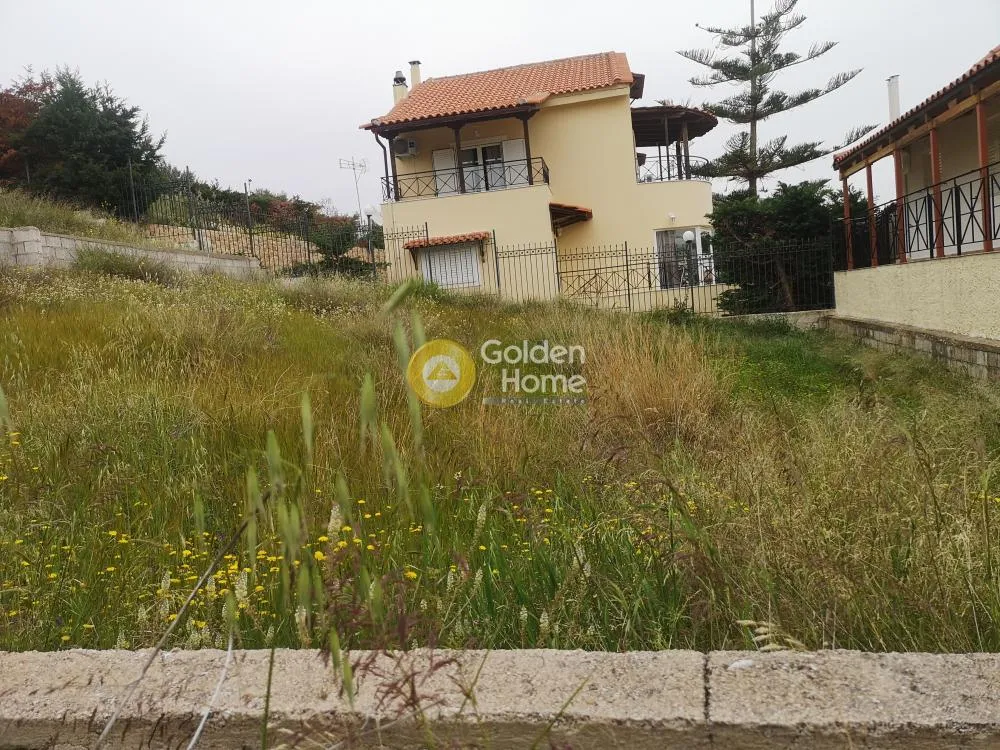 Garden - Plot for Villa with Sea View in Lagonia