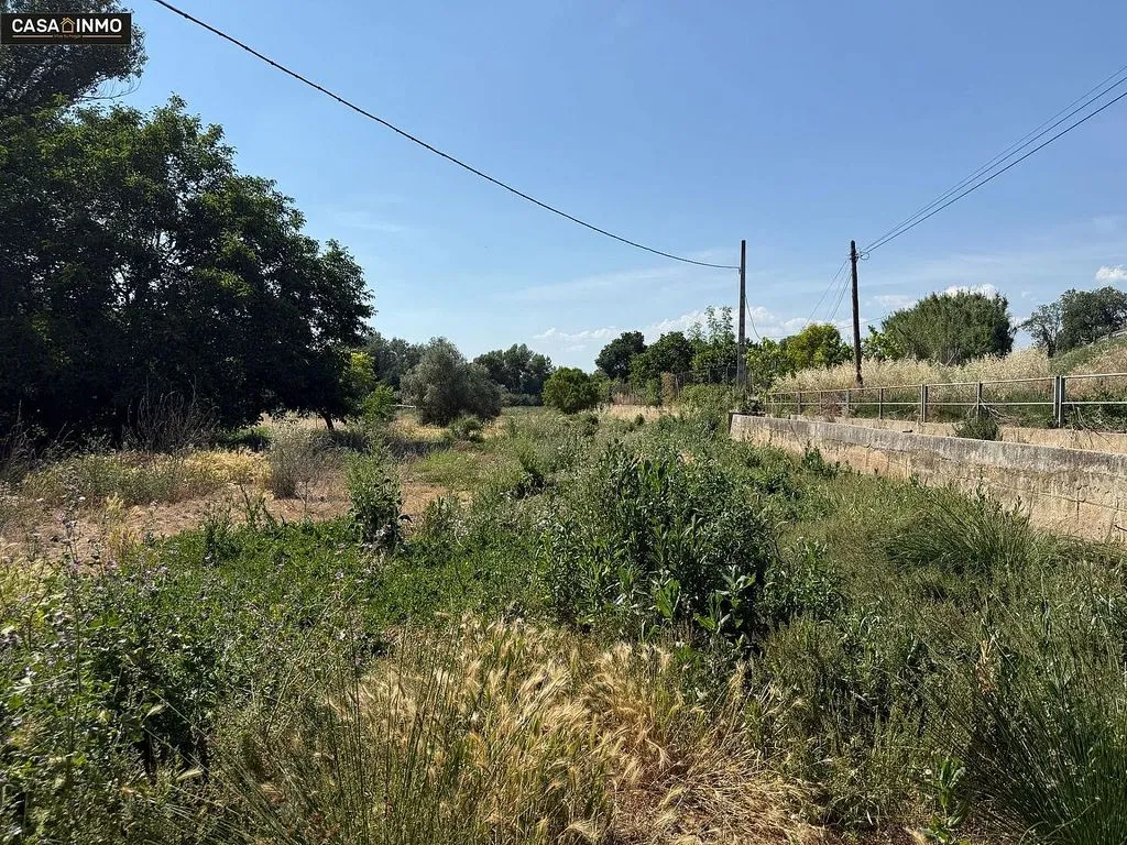 Jardin - Rustic Farmhouse with Garden in Barbastro