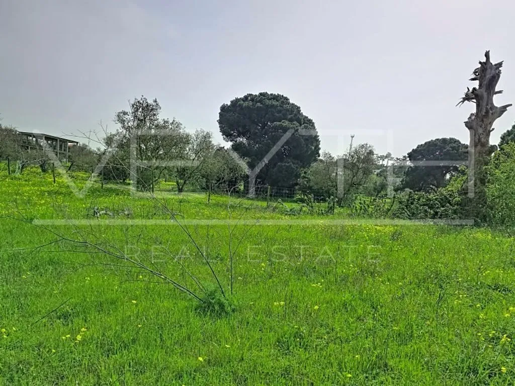 Garden - Development Land with Residential Potential in Sesimbra