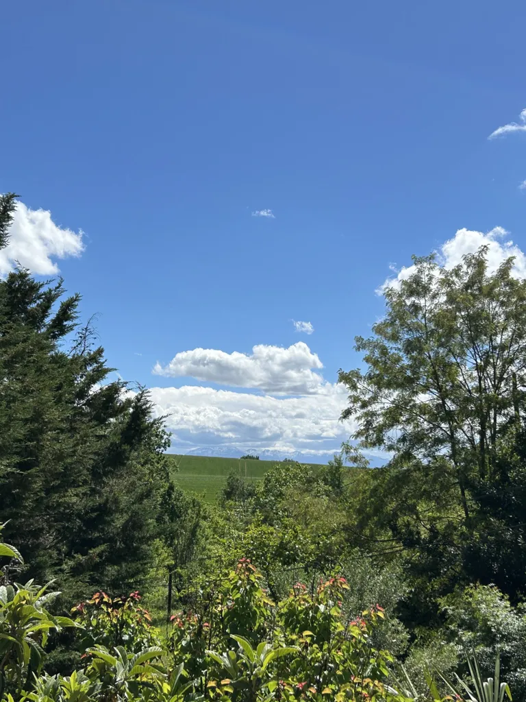 Jardin - Domaine de Charme avec Piscine dans un Cadre Naturel