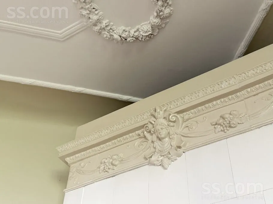 Toad - 6-Bedroom Apartment with Private Parking in Riga Centre