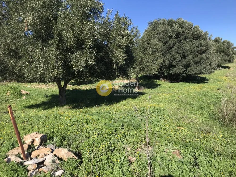 Aed - Plot with Sea View in Synteria, Keratea