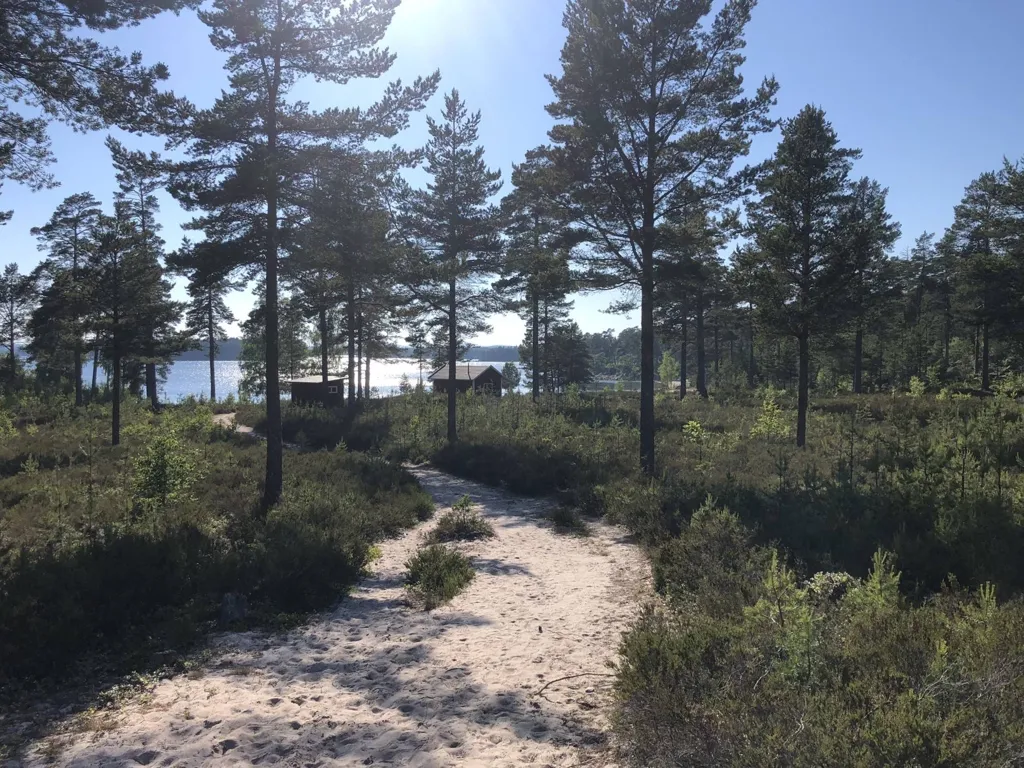 Garden - Plot with Water Access in Åre