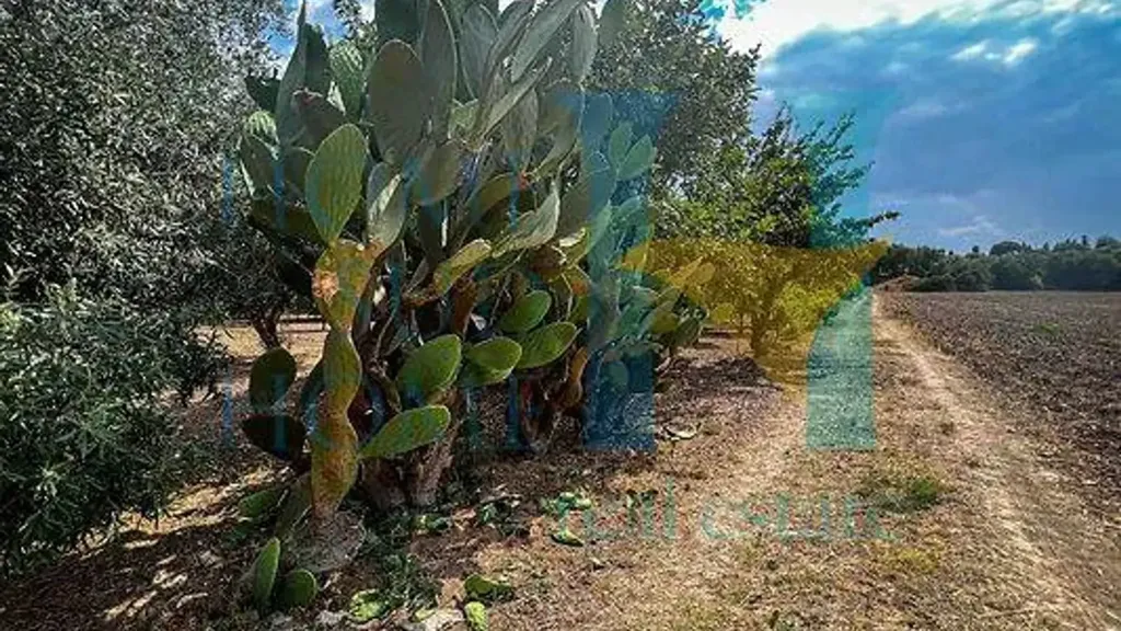 Garden - Land in IT