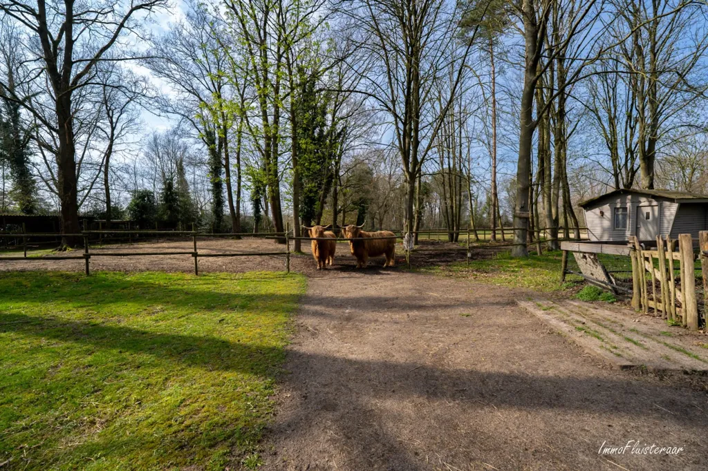 Jardin - Villa avec Piste Éclairée et Stalles à Geel