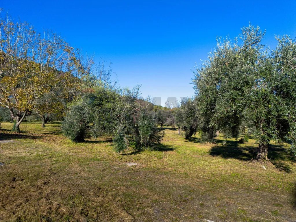 Jardin - Rustic Casale with Tennis Courts near Lucca