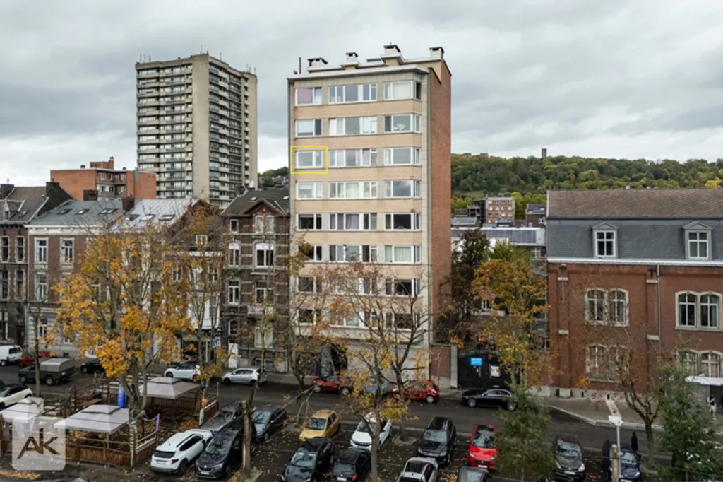 Välivaade - Charming Apartment with Terrace in Outremeuse