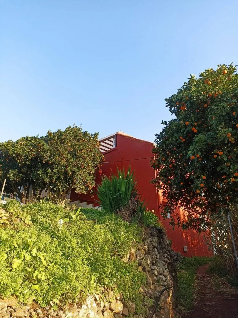 Aed - Rustic House with Panoramic Terrace in Teror