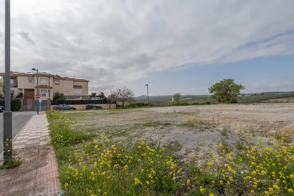 Giardino - Modern Villa with Pool in Cúllar-Vega
