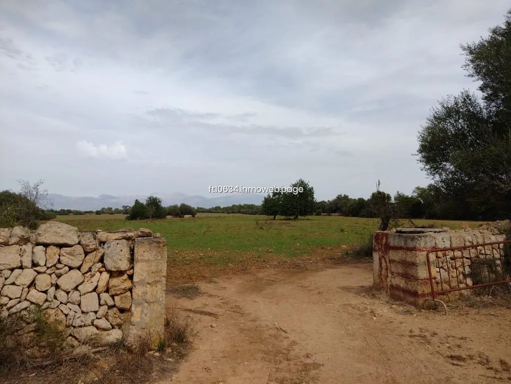 Aed - Luxury Farmhouse with Stone Walls in Algaida