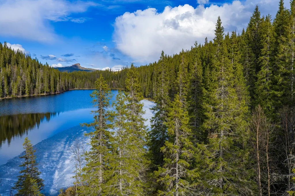 Forest Property with Lake View in Vassnäs