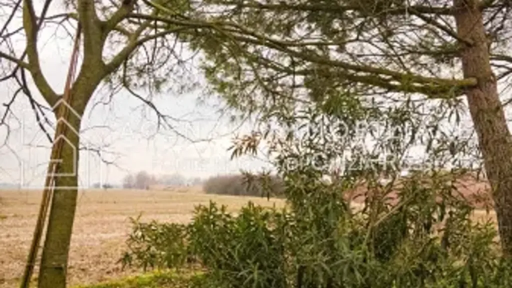 Garden - Rustic Property with Garden in Ravenna