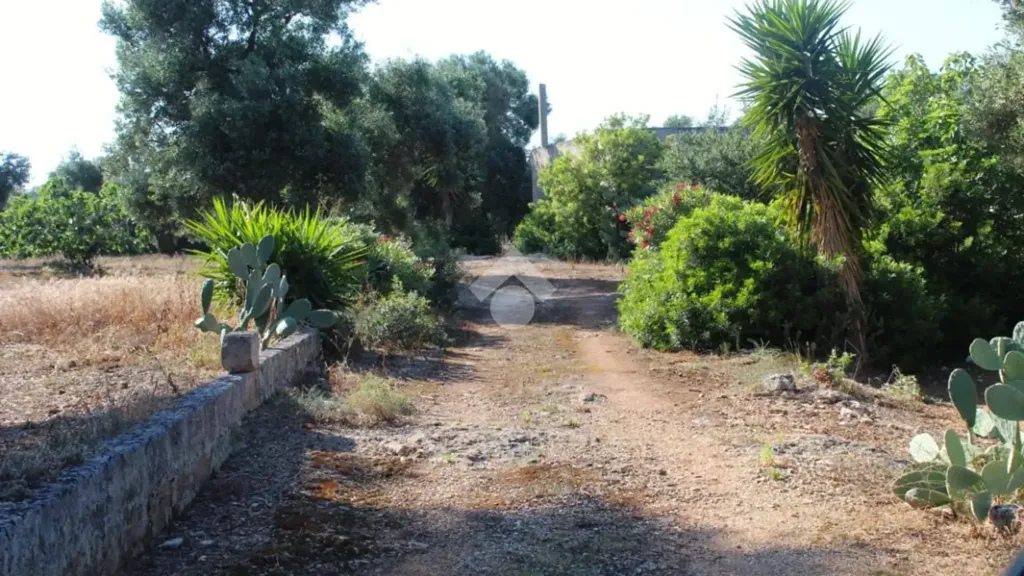 Jardin - Rustic Farmhouse with Pool Potential in Carovigno