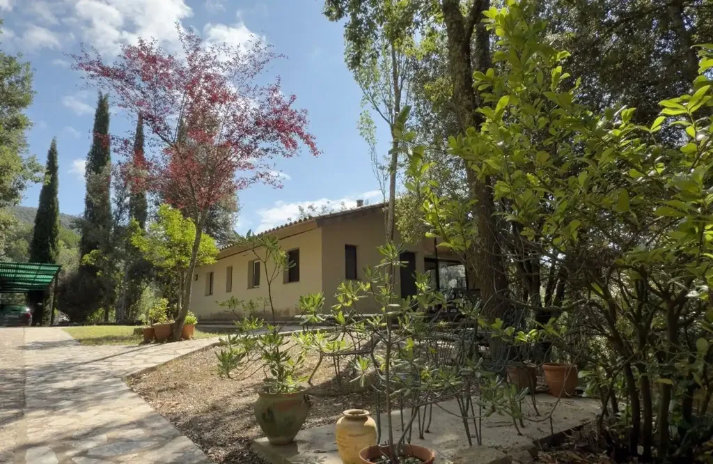 Aed - Chalet with Private Forest in Sant Aniol de Finestres