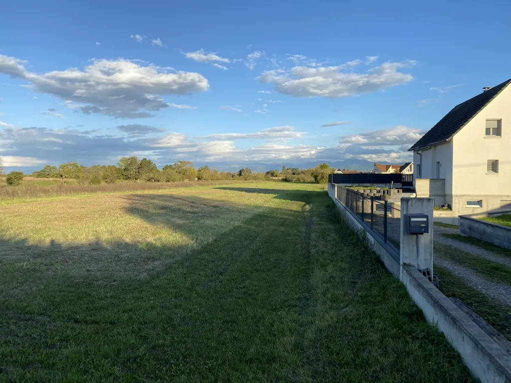 Jardin - Maison Contemporaine au Calme à Blodelsheim