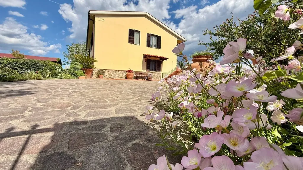Välivaade - Rustic Casale with Olive Grove near Orbetello